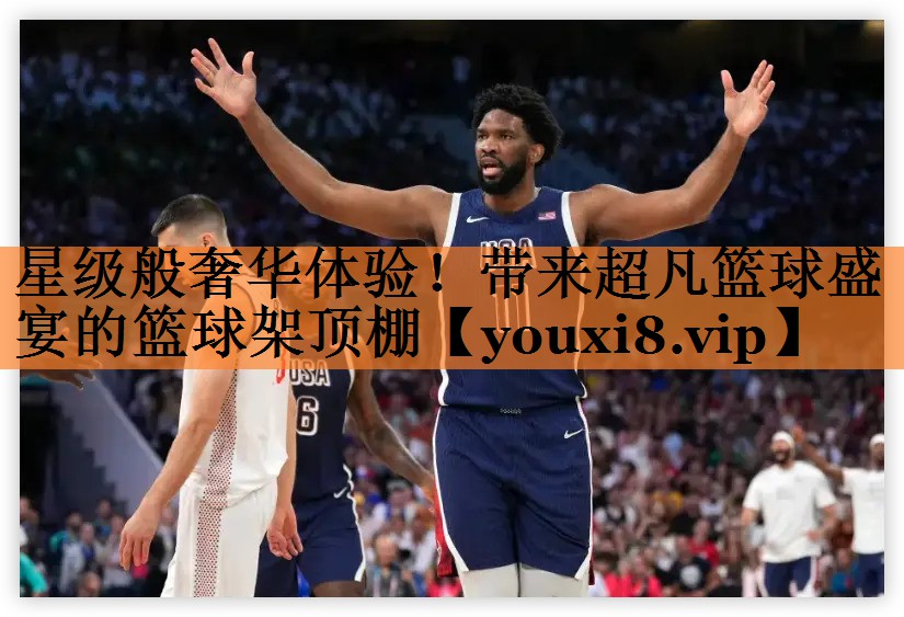 星级般奢华体验！带来超凡篮球盛宴的篮球架顶棚