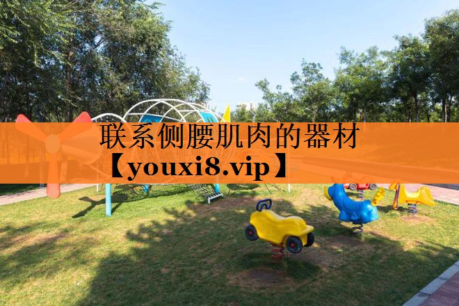 联系侧腰肌肉的器材