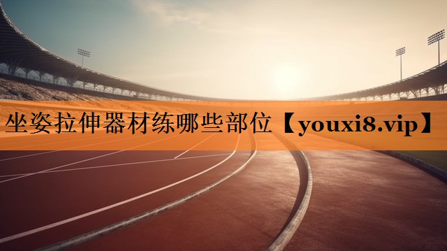 坐姿拉伸器材练哪些部位