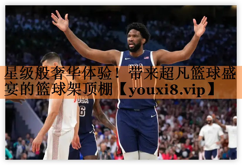 星级般奢华体验！带来超凡篮球盛宴的篮球架顶棚