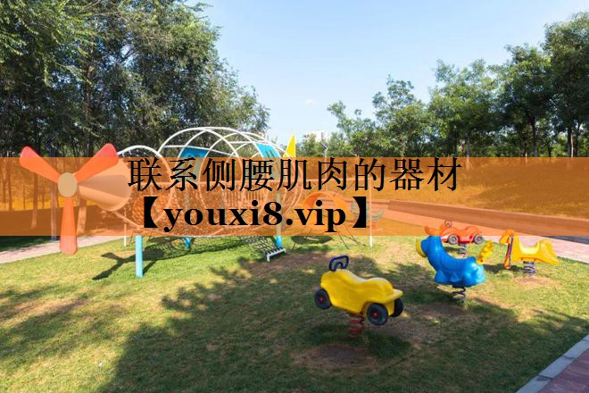 联系侧腰肌肉的器材